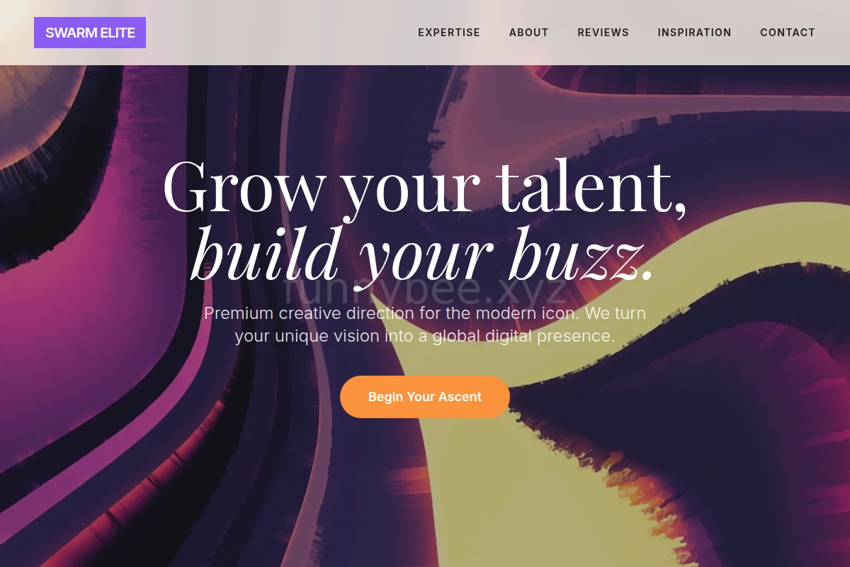 Zoom Creative Direction
