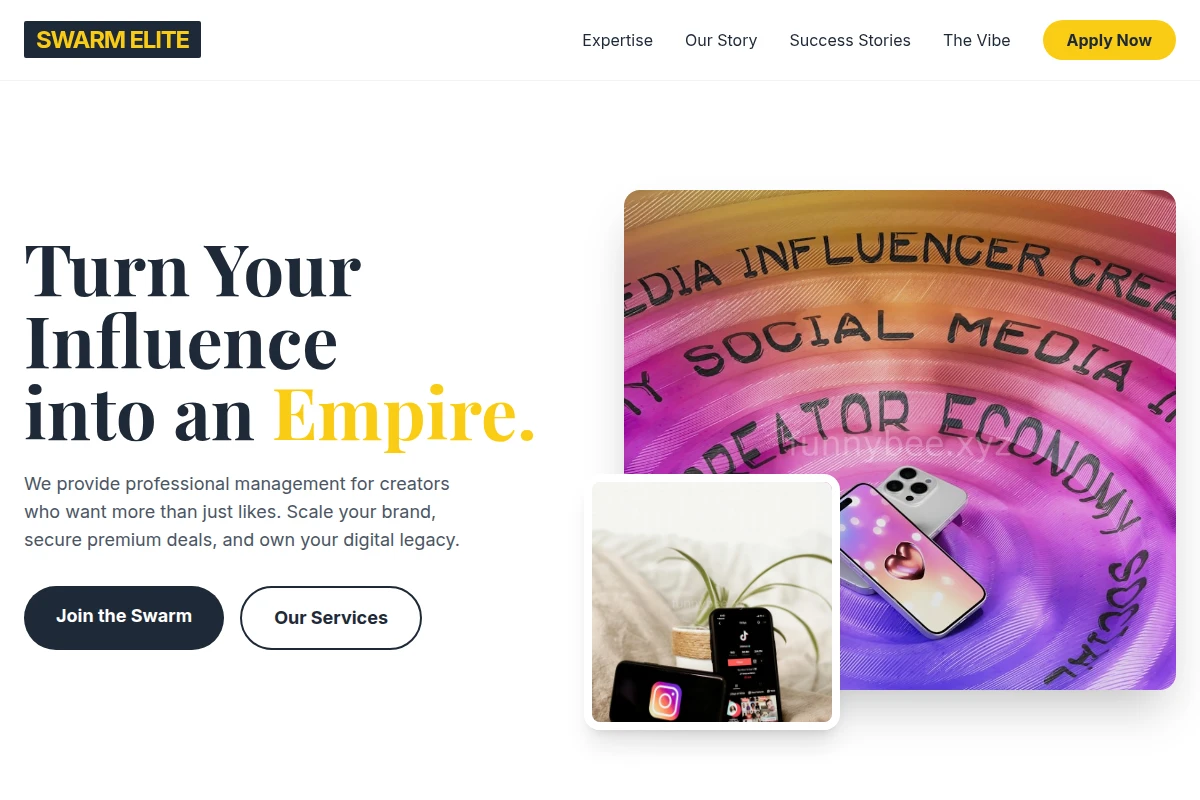 Vibe Influencer Marketing