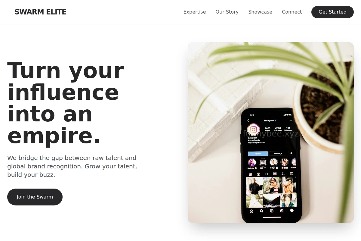 Zoom Influencer Marketing