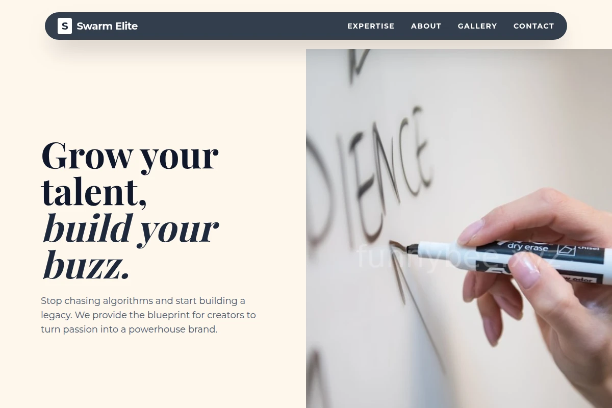 Angle Influencer Marketing