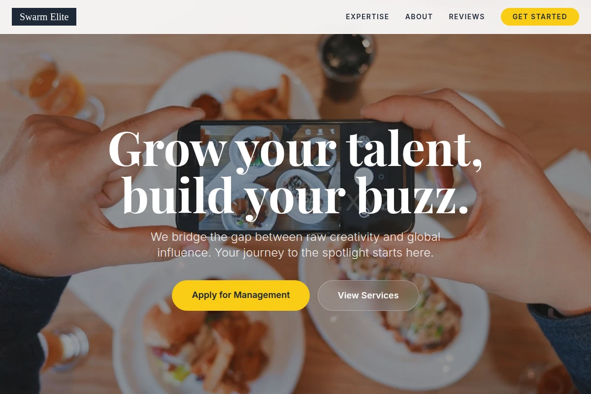 Zoom Influencer Marketing