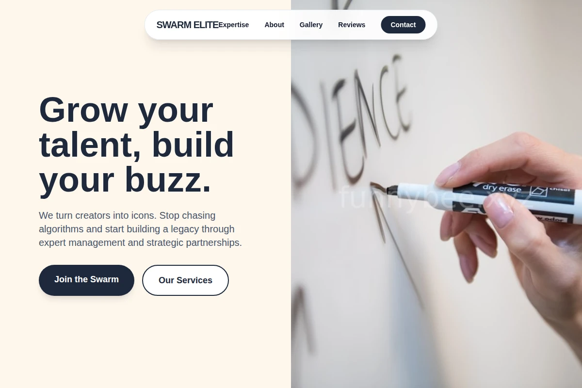 Focus Influencer Marketing