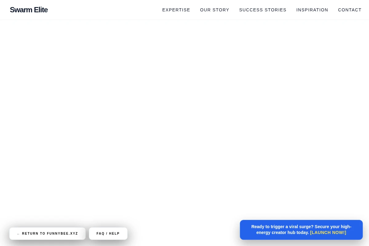 Zoom Influencer Marketing