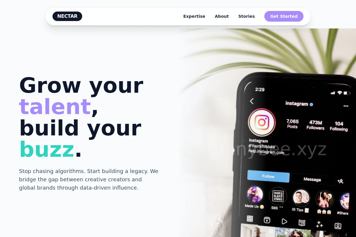 Nectar Influencer Marketing