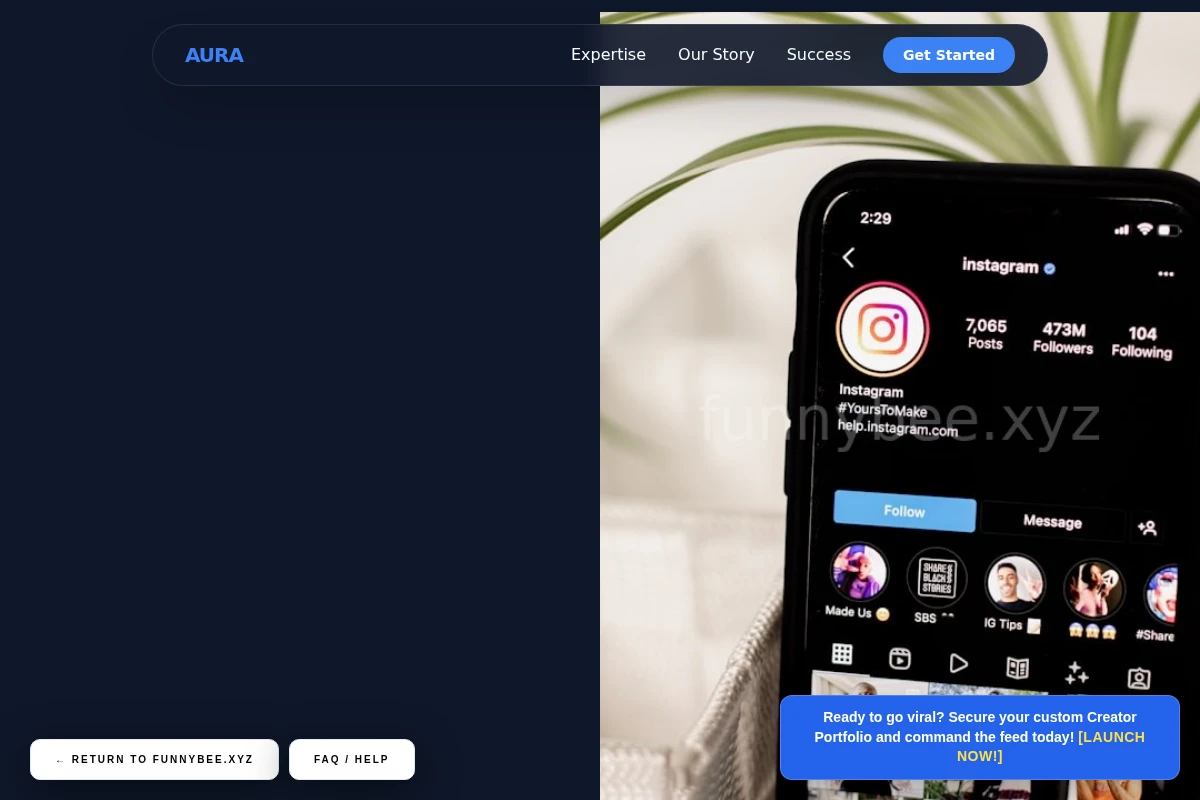 Aura Influencer Marketing