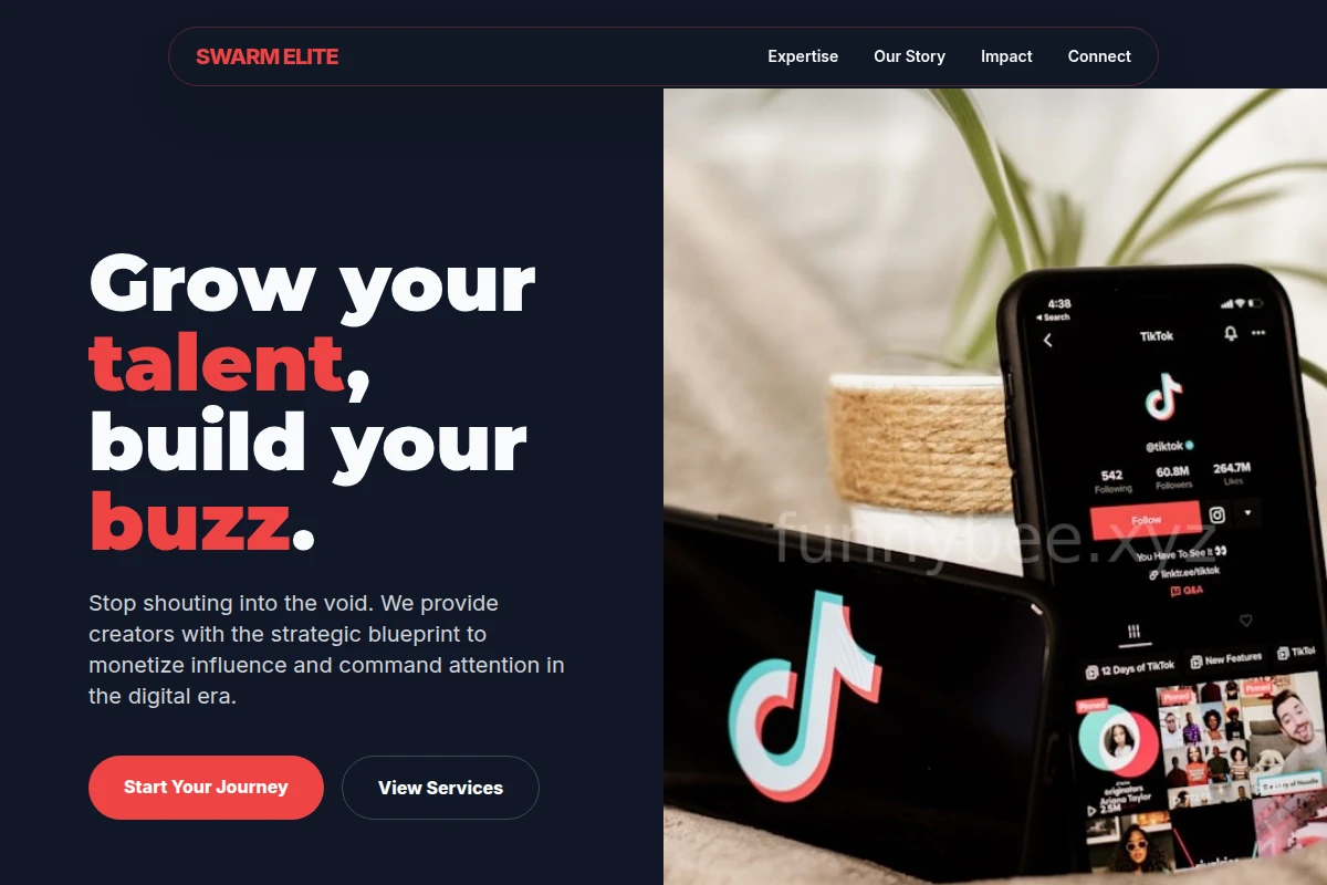 Loop Influencer Marketing
