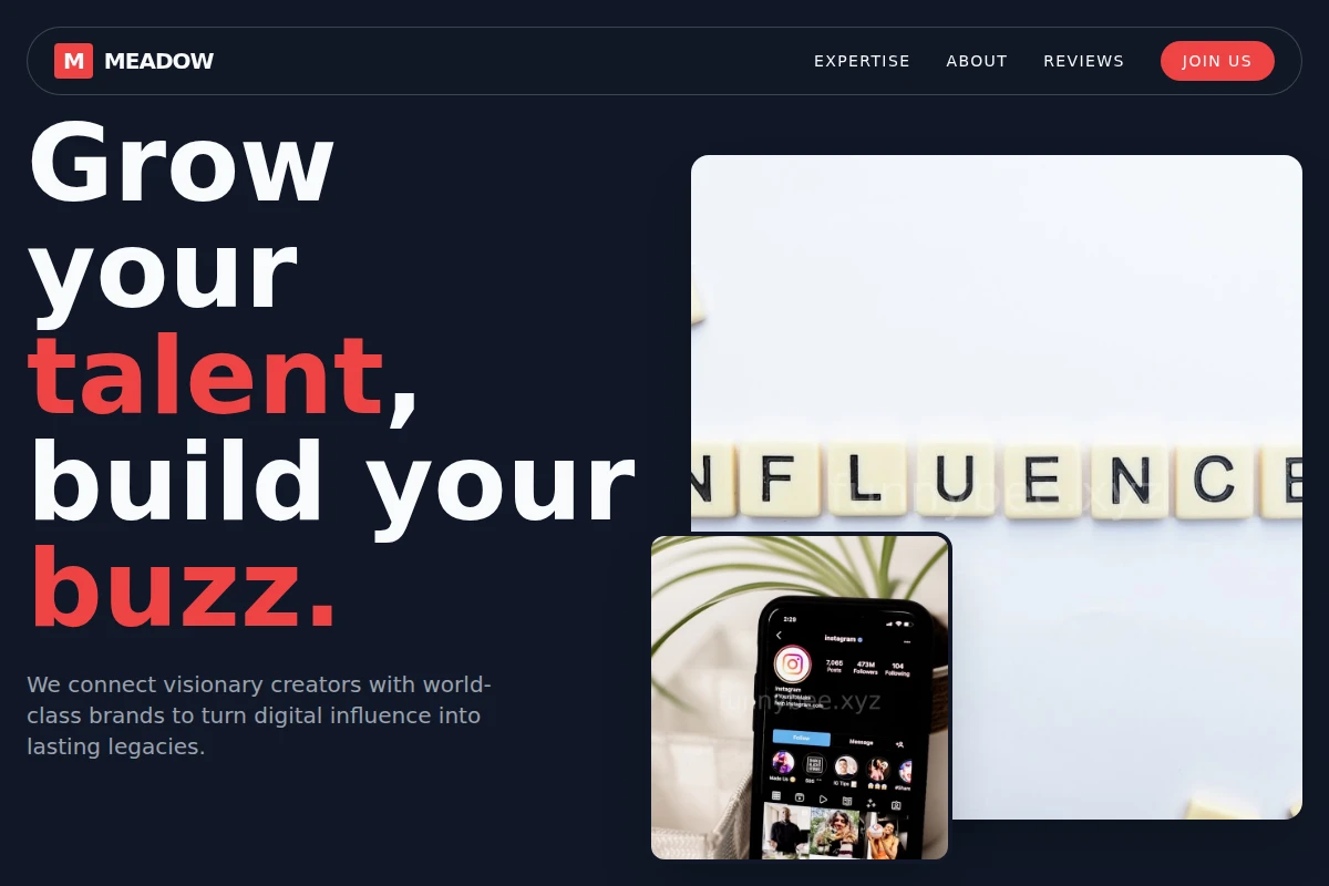 Meadow Influencer Marketing