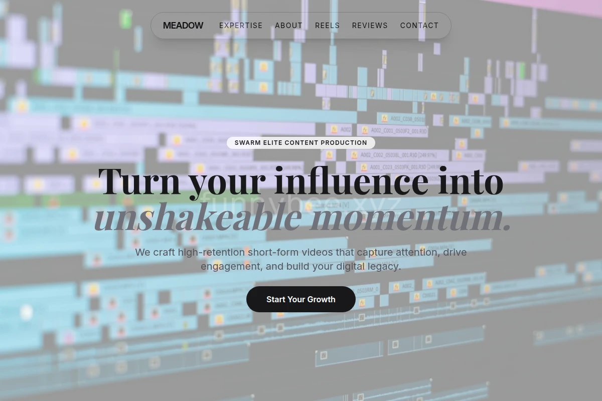 Meadow Short Form Video Agency