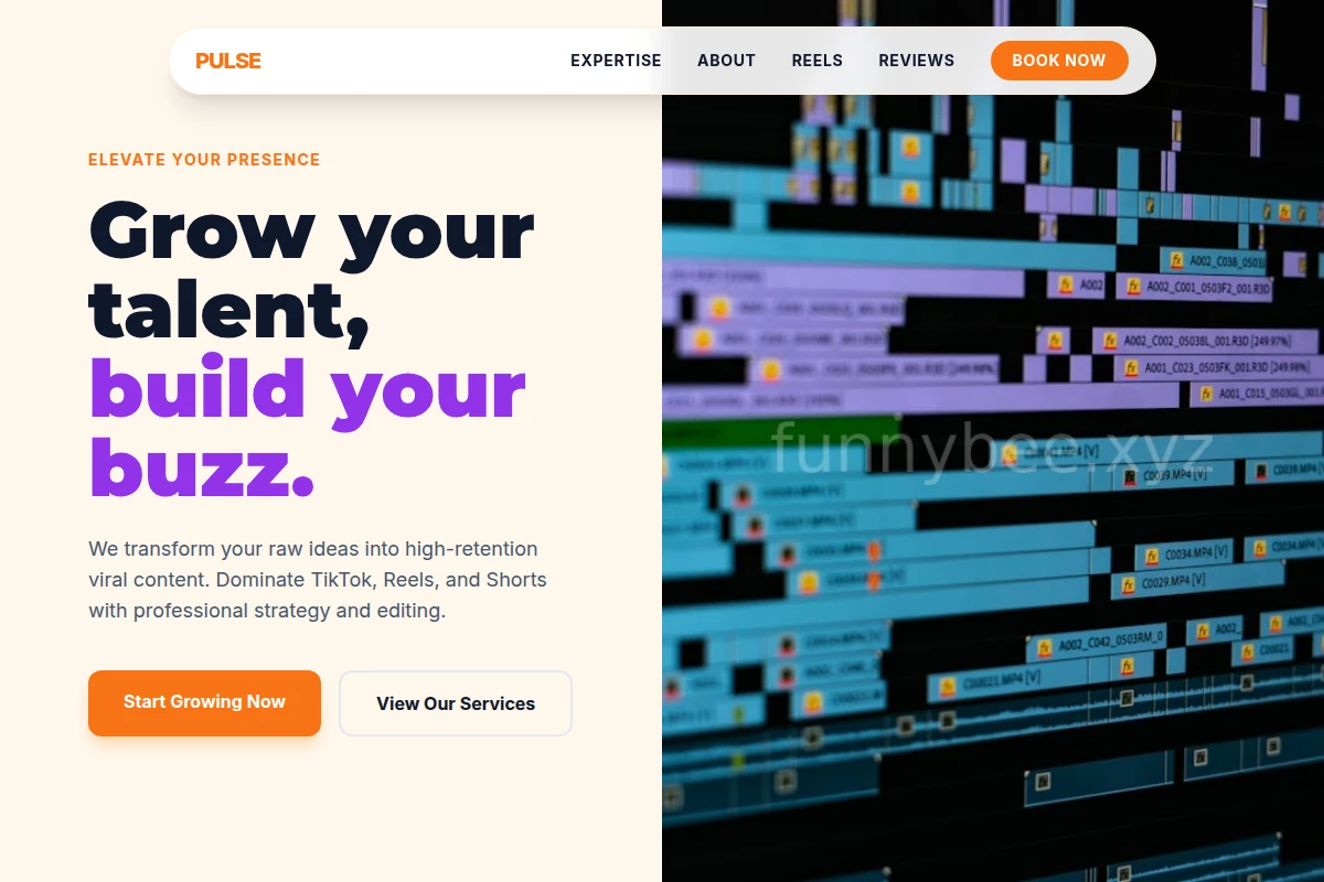 Pulse Short Form Video Agency