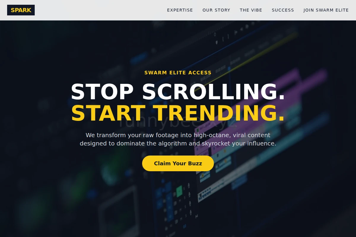 Spark Short Form Video Agency